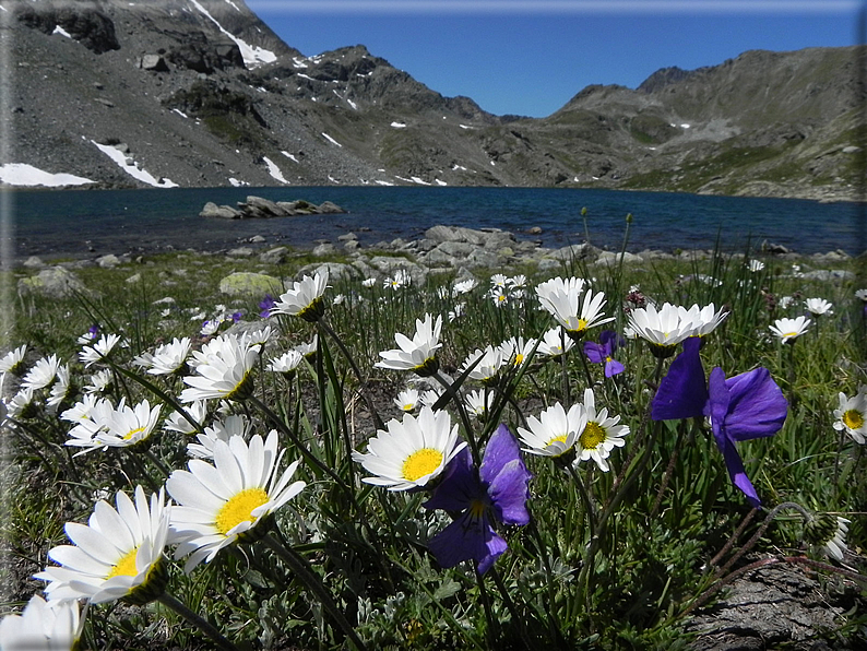 foto Col de Medzove